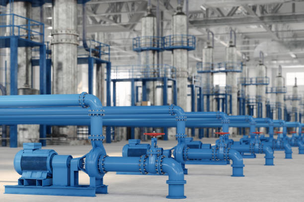Best Local Plumber Services  in Lighthouse Point, FL