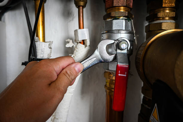 Best Residential Plumbing Services  in Lighthouse Point, FL
